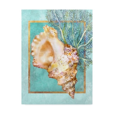 Lori Schory 'Conch Shell And Coral' Canvas Art,14x19